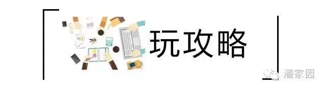 手捻葫芦配核桃手串,文玩核桃和葫芦手串哪个好