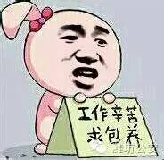 网上高薪招司机是真的吗,最新急招c本司机招聘信息