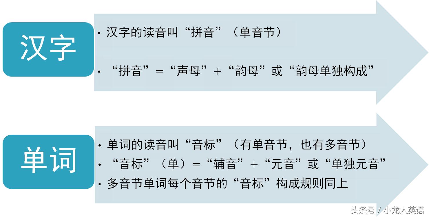 辅音28个音标大图讲解,音标5个元音和19个辅音讲解