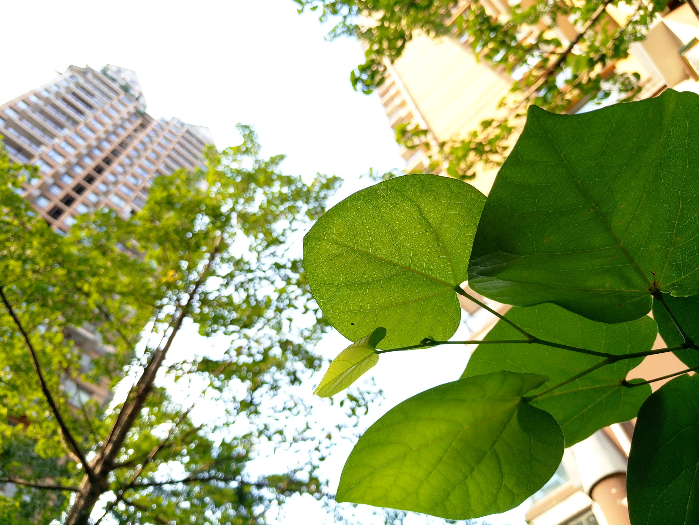 魅族mx6深度解析,国际版魅族mx6评测