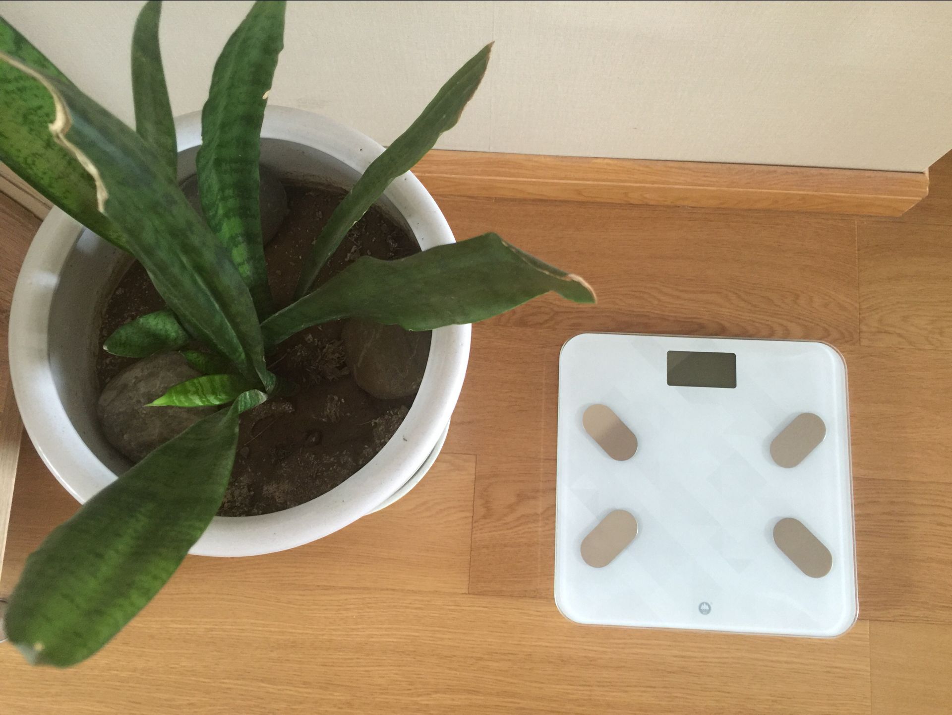 香山体脂秤哪个型号最好,香山八电极体脂秤测评