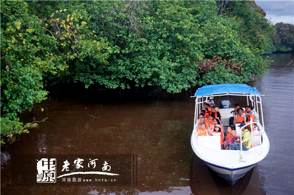 金秋沙巴游 (暑假去沙巴旅游攻略)