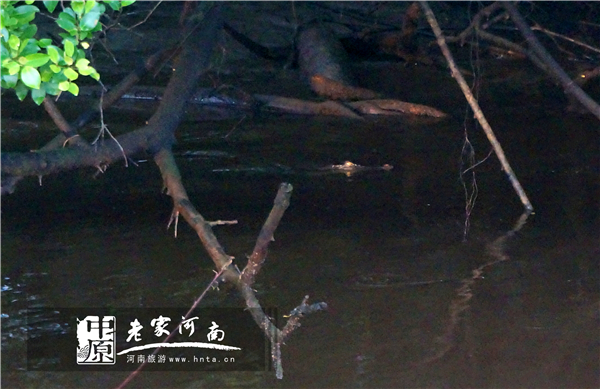 金秋沙巴游 (暑假去沙巴旅游攻略)