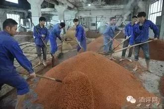 酿酒要注重水源吗,酿酒水源的讲究