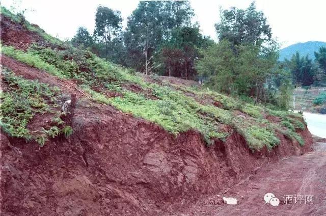 酿酒要注重水源吗,酿酒水源的讲究