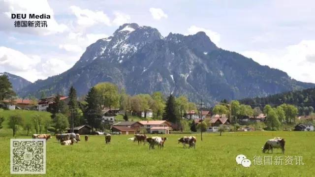 德国爱他美奶粉价格表大全,德国爱他美奶粉成块怎么回事