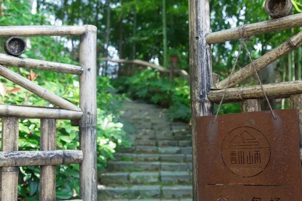 夏天去山上避暑好不好,莫干山下雨天旅游攻略详细