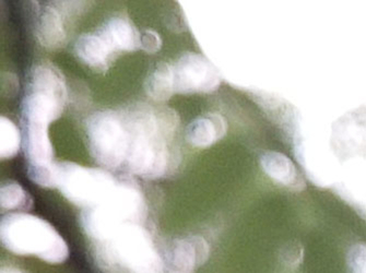 魅族mx6深度评测,魅族mx6曝光图