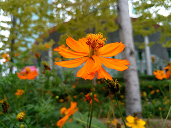 魅族mx6深度评测,魅族mx6曝光图