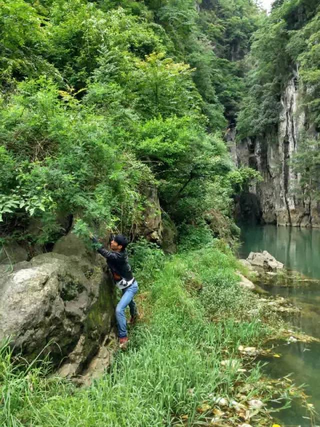 世界上最大的黄果树瀑布在哪里 (黄果树瀑布是不是亚洲第一大瀑布)