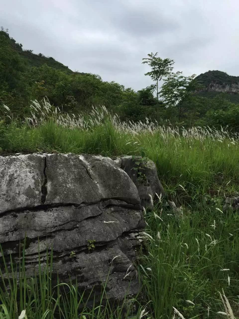 世界上最大的黄果树瀑布在哪里 (黄果树瀑布是不是亚洲第一大瀑布)