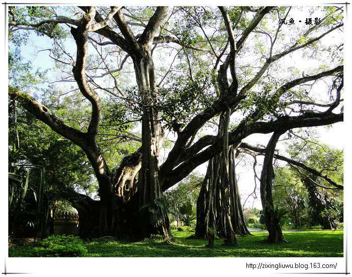 赌石之都,瑞丽翡翠赌石之旅