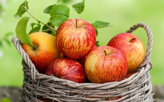 孕期注意事项大全孕妈妈值得收藏,孕妇孕晚期吃什么降火