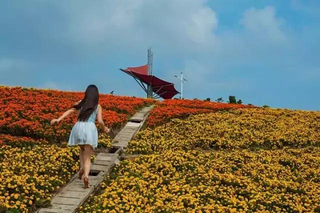 深圳东部华侨城60岁免费的景区,深圳东部华侨城两天一夜攻略