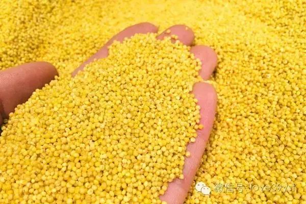 气血虚还容易上火吃什么食物调理,男人气血亏虚吃什么食物可以调理