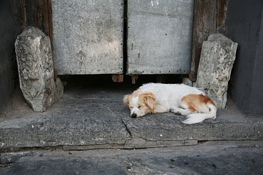 北京水资源的知识,解决北京水资源的根本对策是