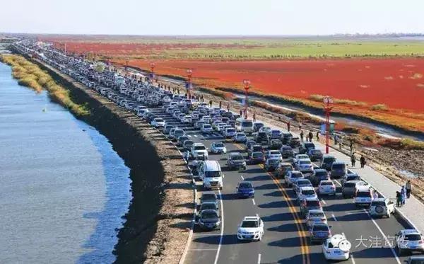 五载流金岁月 铸就风华大洼