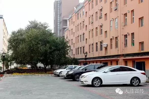 五载流金岁月 铸就风华大洼