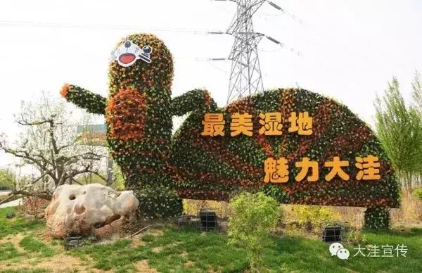 五载流金岁月 铸就风华大洼