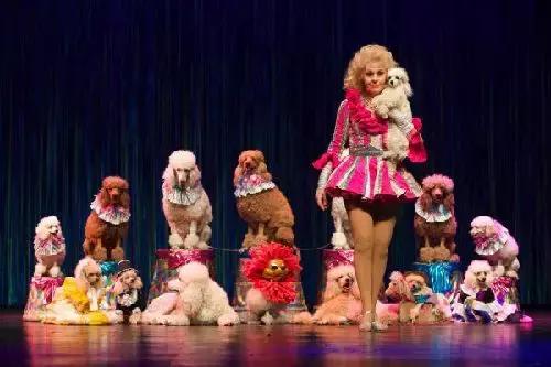 比东南亚划算还免签，只要1W，就能到俄国最美的贝加尔湖！