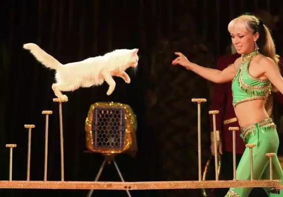 比东南亚划算还免签，只要1W，就能到俄国最美的贝加尔湖！