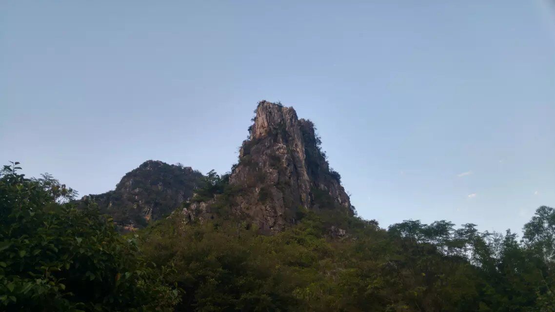 自制三七粉蜂蜜面膜祛斑最有效,蜂蜜珍珠粉自制面膜怎么做