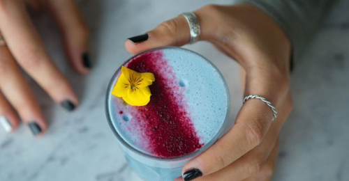 （城记|小灰枣）皮卡皮卡~皮卡丘~