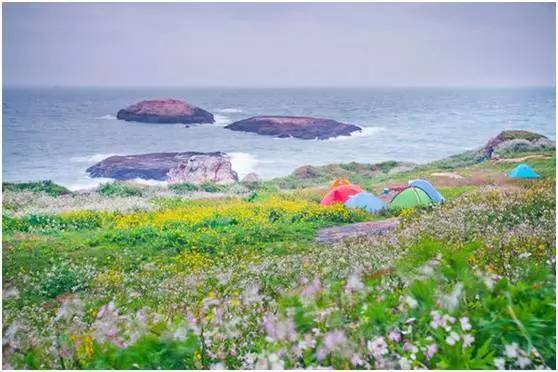 福鼎嵛山岛游玩朋友圈,渔山列岛打卡