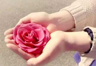 宫颈癌疫苗是不是有十三价的,宫颈癌疫苗是真实的吗