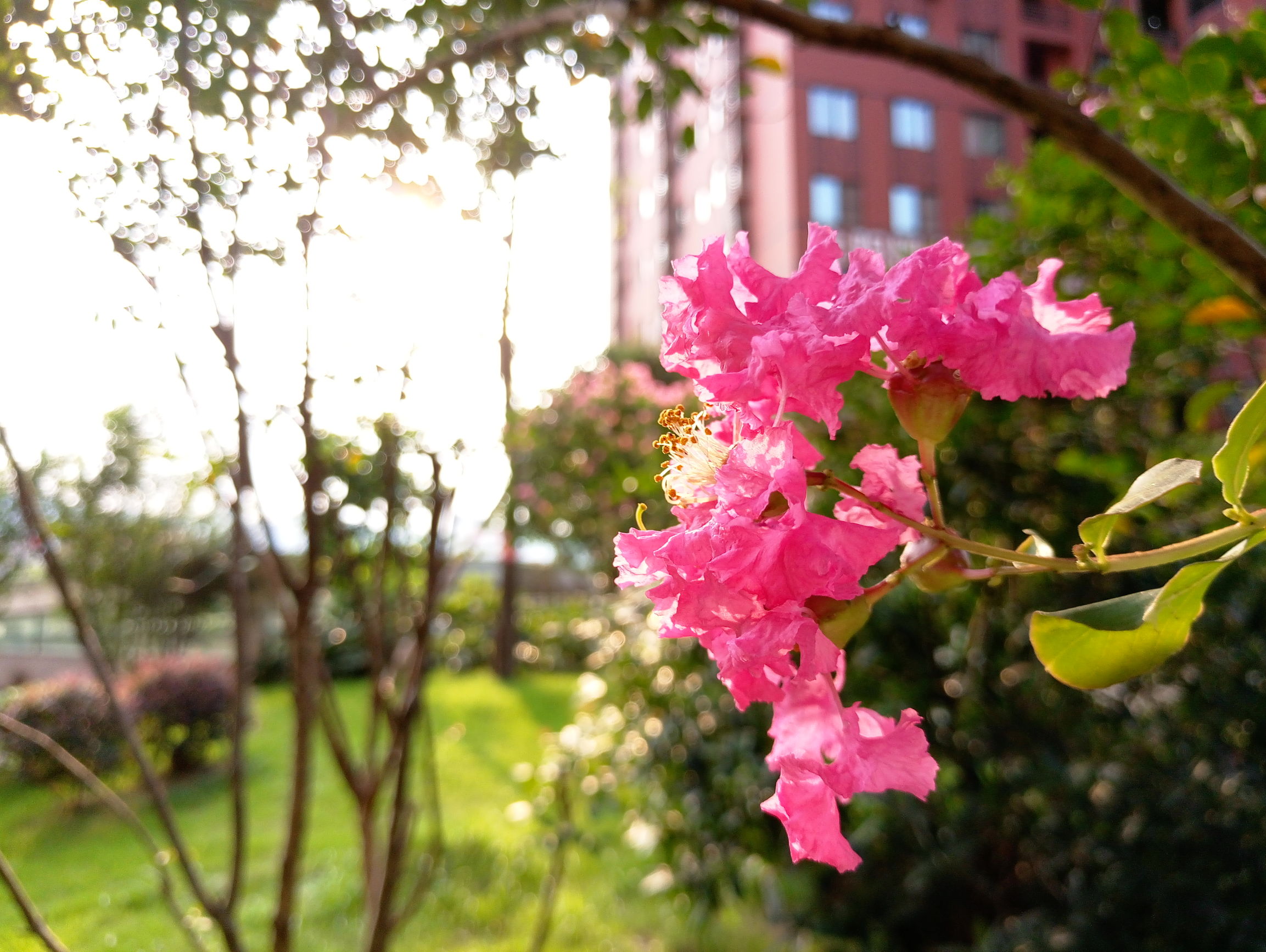 魅族mx6深度解析,国际版魅族mx6评测