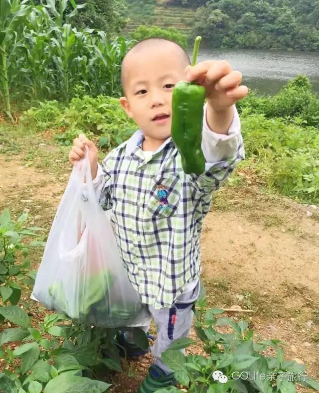 黄山德懋堂怡养山房,黄山德懋堂度假山庄