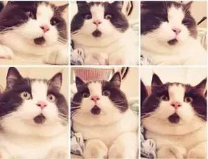 你买到的面膜很可能是“皮肤*片鸦**”，福州姑娘们注意了！