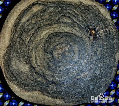 怎么认识紫檀木,如何认识沉香