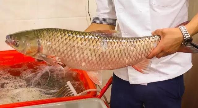 这艘巨型渔船终于驶入泉州，鱼控们上船后已经失控！