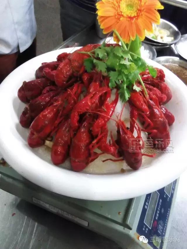 带你吃遍三明14家新店,在我心中你就是大老板