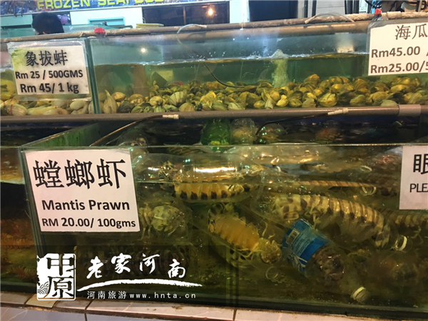 金秋沙巴游 (暑假去沙巴旅游攻略)