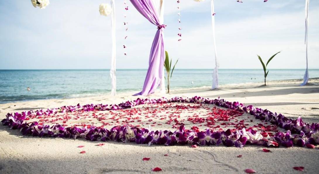 陈一：购购购，Let’sGo!