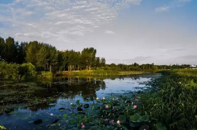 你心中的哈尔滨是什么样的,哈尔滨是个什么样的地方