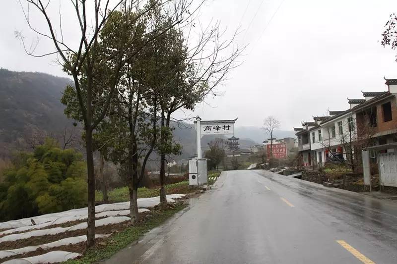 陕西100个示范村名单 (陕西省级示范村名单)