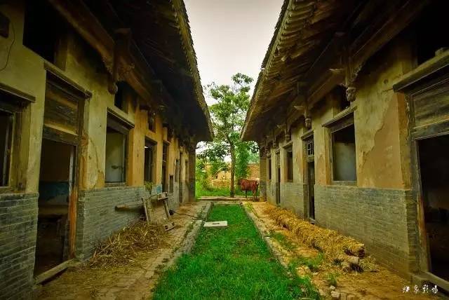 陕西100个示范村名单 (陕西省级示范村名单)