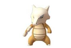 pokemongo进化技能会变么,pokemongo不显示精灵