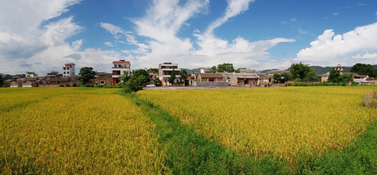 夏季旅游胜地珠三角,广东中山旅游攻略夏日