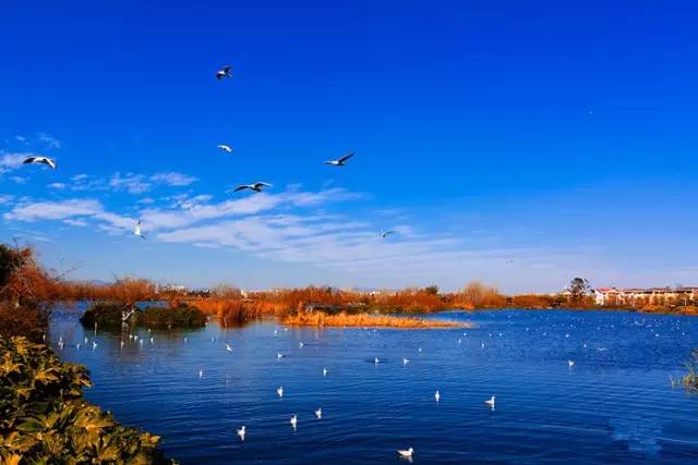 鸡冻！衢州人能坐高铁到云南啦！省了30小时，沿途风景美哭你！