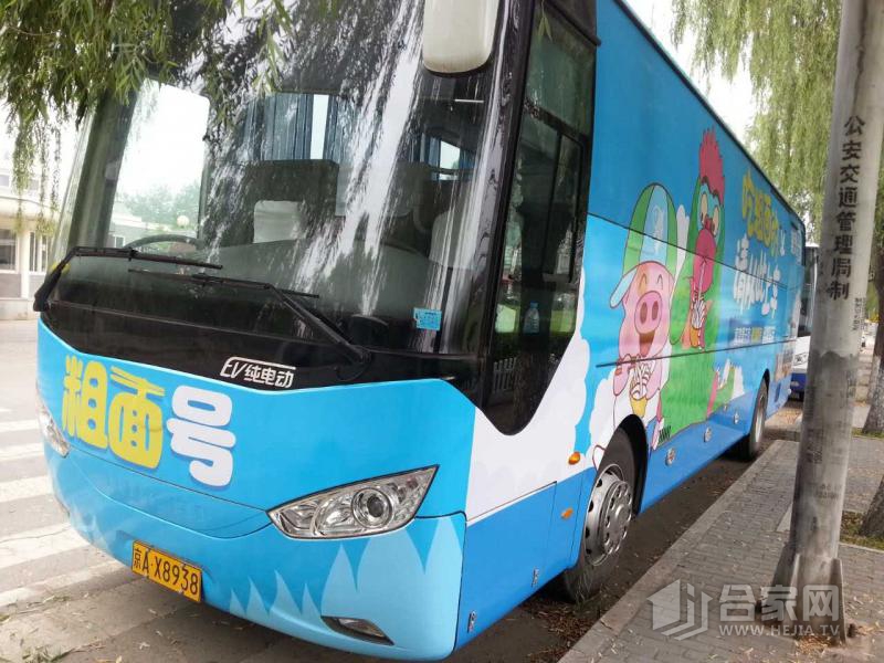 娱乐宝,娱乐宝鱼丸