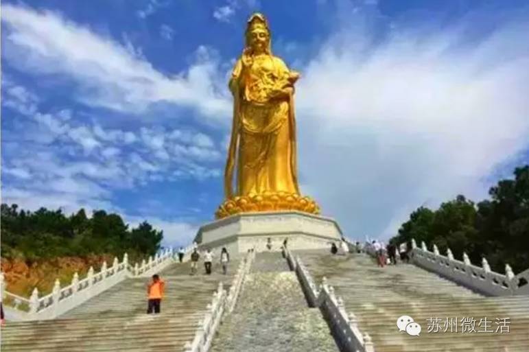 苏州乐园今天开放的项目,苏州挺住