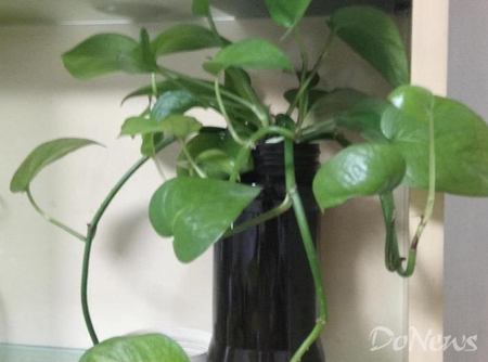 360手机n4评测,360手机n4s什么价格