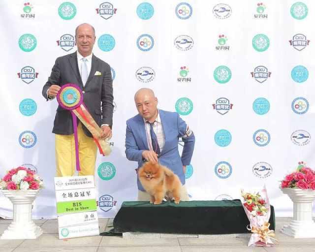 showtime精彩集锦,showtime剧情介绍