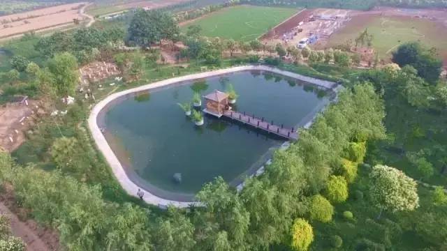 洛阳又多一处文旅打卡点,洛阳又要出一个绝美唐风建筑