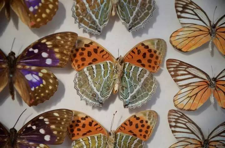 银川真的适合带孩子去吗,银川免费好玩的地方推荐