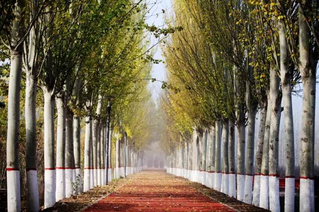 银川真的适合带孩子去吗,银川免费好玩的地方推荐